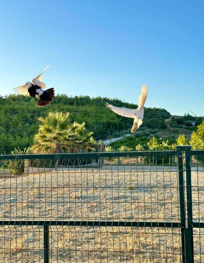 WhatsApp-Gorsel-2024-07-19-saat-15.30.41_b65b6f54